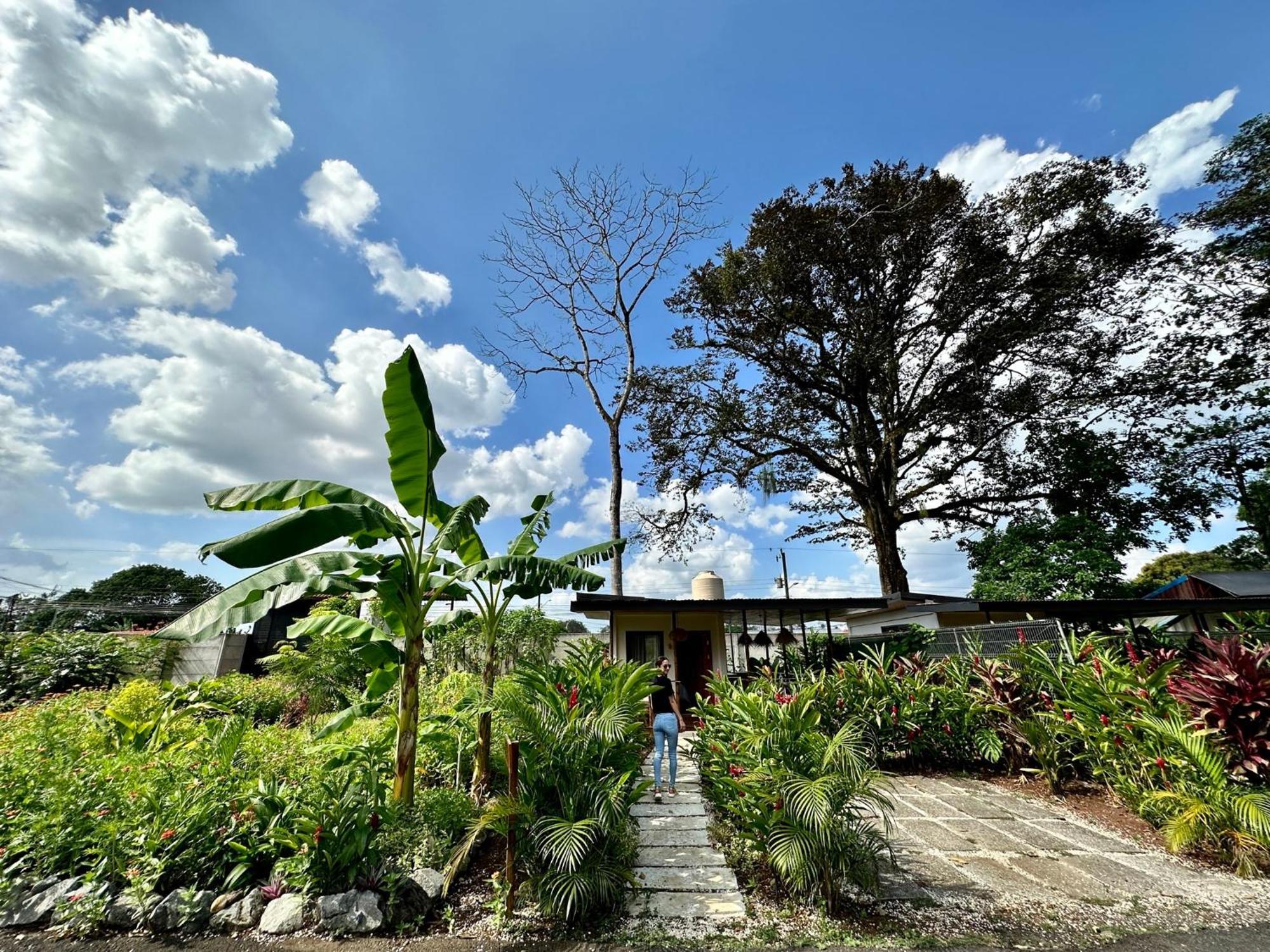 Almendros Eco-Villas La Fortuna Exterior foto
