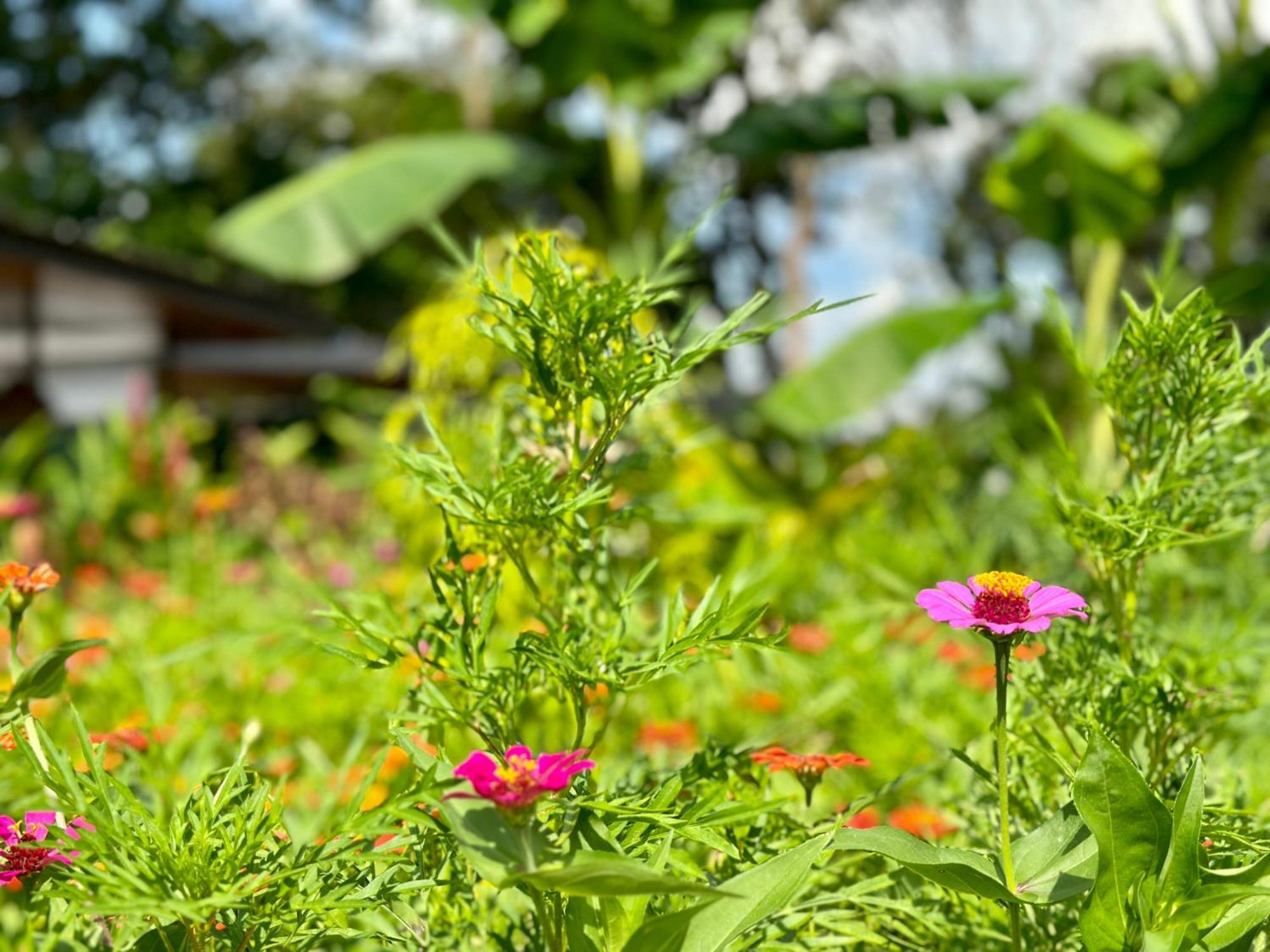Almendros Eco-Villas La Fortuna Exterior foto