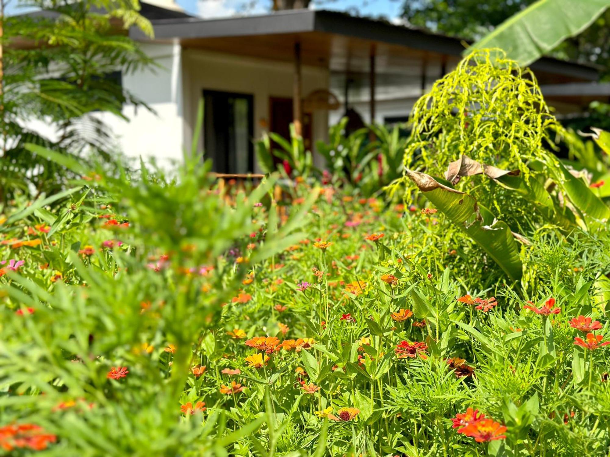 Almendros Eco-Villas La Fortuna Exterior foto
